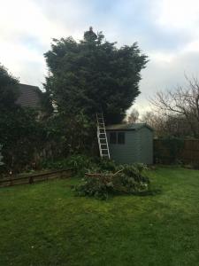 BFF70E99-935A-44FD-9E5C-2CD9690C9D84