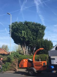 CC76D956-F506-4502-808A-4AF353BA8FDB