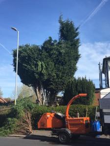 E7214887-B546-4CB0-83F5-9813B89D813E